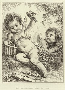 Häkkikyyhky (kaiverrus) tekijältä Francois (after) Boucher