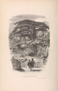 Kasvitieteellinen puutarha, Nisäkkäiden kuvaukset ja tavat, 1842.