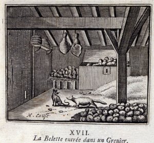 La Weasette astui Grenieriin. Jean de La Fontainen (1621-95) sadut. Kuvitus: François Chauveau (1613-1676). Painos vuodelta 1728. tekijältä Francois Chauveau