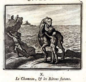 Kameli ja kelluvat kepit. Jean de La Fontainen (1621-95) sadut. Kuvitus: François Chauveau (1613-1676). Painos vuodelta 1728. tekijältä Francois Chauveau