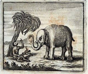 Elefantti ja Jupiterin apina. Jean de La Fontainen (1621-95) sadut. Kuvitus: François Chauveau (1613-1676). Painos vuodelta 1728.
