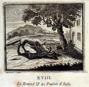 Kettu ja Intian kanat. Jean de La Fontainen (1621-95) sadut. Kuvitus: François Chauveau (1613-1676). Painos vuodelta 1728. tekijältä Francois Chauveau