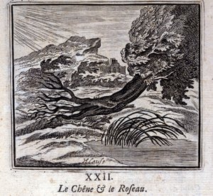 Tammi ja ruoko. Jean de La Fontainen (1621-95) sadut. Kuvitus: François Chauveau (1613-1676). Painos vuodelta 1728. tekijältä Francois Chauveau