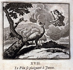 Peacock valitti Junonille. Jean de La Fontainen (1621-95) sadut. Kuvitus: François Chauveau (1613-1676). Painos vuodelta 1728. tekijältä Francois Chauveau
