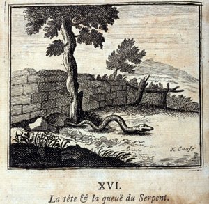 Käärmeen pää ja häntä. Jean de La Fontainen (1621-95) sadut. Kuvitus: François Chauveau (1613-1676). Painos vuodelta 1728. tekijältä Francois Chauveau