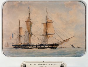 Valaanpyyntialus Havressa