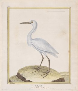 Egret Egret, 1770-86. tekijältä Francois Nicolas Martinet