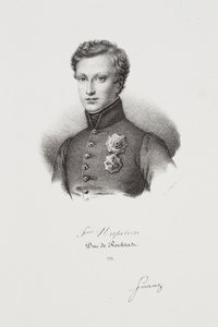 Napoleon II:n muotokuva tekijältä Francois Seraphin Delpech