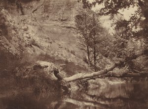 Riverbank,c. 1855 (kuva)