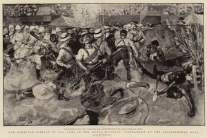 Kaikkien aseiden yhdistetty esittely Royal Military Tournamentissa maataloushallissa tekijältä Frank Craig