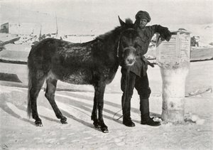 Gran Mule Lal Khanin kanssa, c1911, 1913 tekijältä Frank Debenham
