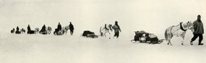 Ponit maaliskuussa 1911, 1913 tekijältä Frank Debenham