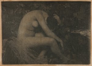 Cicada