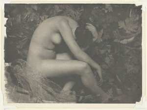 Cicada, 1898.