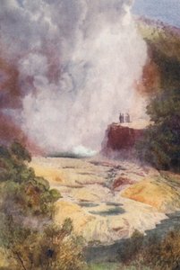 Uusi-Seelanti: Samppanjapata (värilitografia). tekijältä Frank H Wright