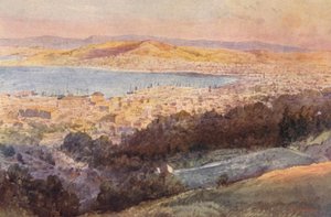 Uusi-Seelanti: Wellington (värilitra) tekijältä Frank H Wright
