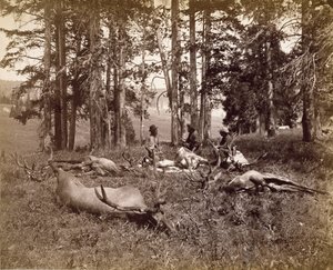 Elk Hunters, Yellowstone, n. 1880 (albumin hopeaprintti)