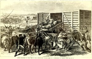 Cattle Chute Abilenessa, Kansasissa, n. 1871 (kaiverrus)
