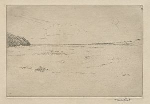 Gathering the Flock Maxwellbankissa, nro 2, 1892. tekijältä Frank Short