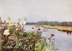 Norfolk Broads: A Bure Bank (väri litho)