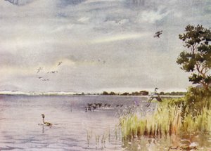 Norfolk Broads: Horsey Mere tekijältä Frank Southgate