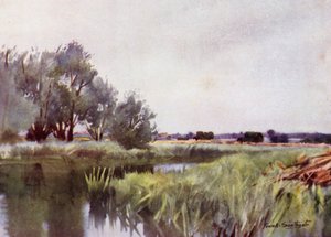 Norfolk Broads: Marsh Hay - Carting on the Yare tekijältä Frank Southgate