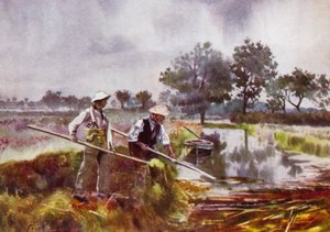 Norfolk Broads: Marshmen Weed-Lifting tekijältä Frank Southgate