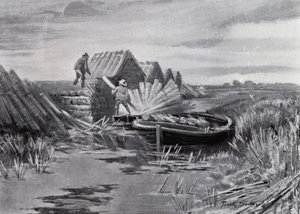 Norfolk Broads: Reed-stacking (litho) tekijältä Frank Southgate