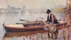 Wild Life in East Anglia: Keulaverkon asettaminen (värillinen litografia). tekijältä Frank Southgate