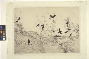 Blackbirds and Rushes (muste paperille)