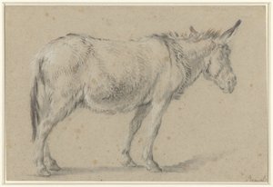 Seisova aasi, kasvot oikealle tekijältä François Boucher (possibly)