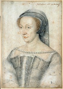 Diane de Poitiersin, Valentinois