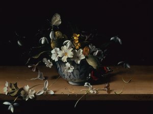 Kukkia sinivalkoisessa kiinalaisessa posliinikulhossa, jossa punainen amiraaliperhonen puisella reunalla (öljy paneelissa) tekijältä François Habert