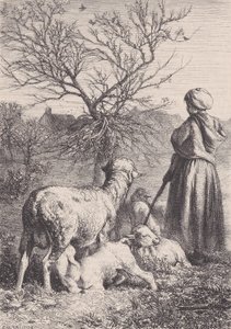 Paimentar, n. 1852. tekijältä François Rouget