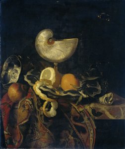 Still Life Nautilus Cupin kanssa tekijältä Frans Sant-Acker