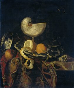 Asetelma Nautilus Cupin kanssa tekijältä Frans Sant Acker