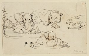 Torjuvat Sundapanthers tekijältä Franz Barwig d. Ä.