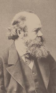 Muotokuva säveltäjä Robert von Hornsteinista 1833-1890. tekijältä Franz Hanfstaengl