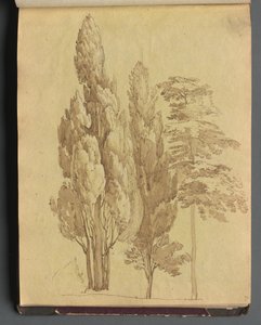 Albumi näkymistä Roomaan ja ympäristöön, Maisematutkimukset, sivu 15a: Puut. tekijältä Franz Johann Heinrich Nadorp