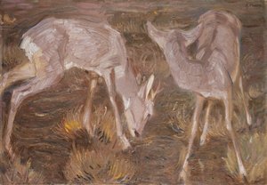 Metsäkauriita hämärässä tekijältä Franz Marc