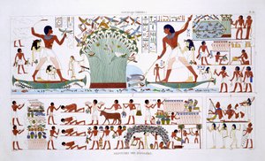 Ruoan valmistaminen Deadille, harvinaisista Theban freskoista, jotka Frederic Cailliaud (1787-1869) nauhoitti toisella Egyptin vierailullaan 1819-1822, väri litho