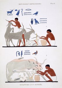 Eläinlääkintätyö, joka on peräisin harvoista Theban freskoista, nauhoitti Frederic Cailliaud (1787-1869) toisella Egyptin-vierailullaan vuosina 1819-1822, väri litho