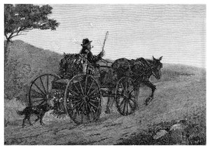 Colac Rabbit Trapper, 1886.