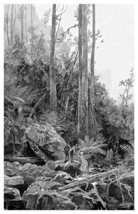 Gully Blue Mountainsissa, Australiassa, 1886.