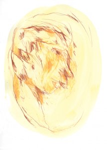  tekijältä Frederic Belaubre