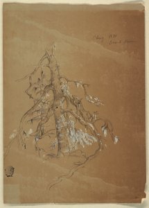 Gnarled Evergreen, Grand Manan, Kanada tekijältä Frederic Edwin Church