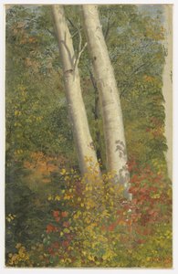 Koivut syksyllä tekijältä Frederic Edwin Church