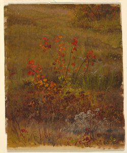 Kasvitieteelliset tutkimukset tekijältä Frederic Edwin Church