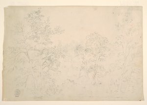 Kastanjapuut veden äärellä tekijältä Frederic Edwin Church