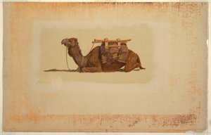 Kyyryilevä Dromedary tekijältä Frederic Edwin Church